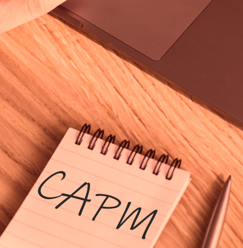 Mastering the Capital Asset Pricing Model (CAPM): From Fundamentals to Advanced Concepts, Beta, Risk-Free Rate, Market Risk Premium, Portfolio Risk, Investment Valuation