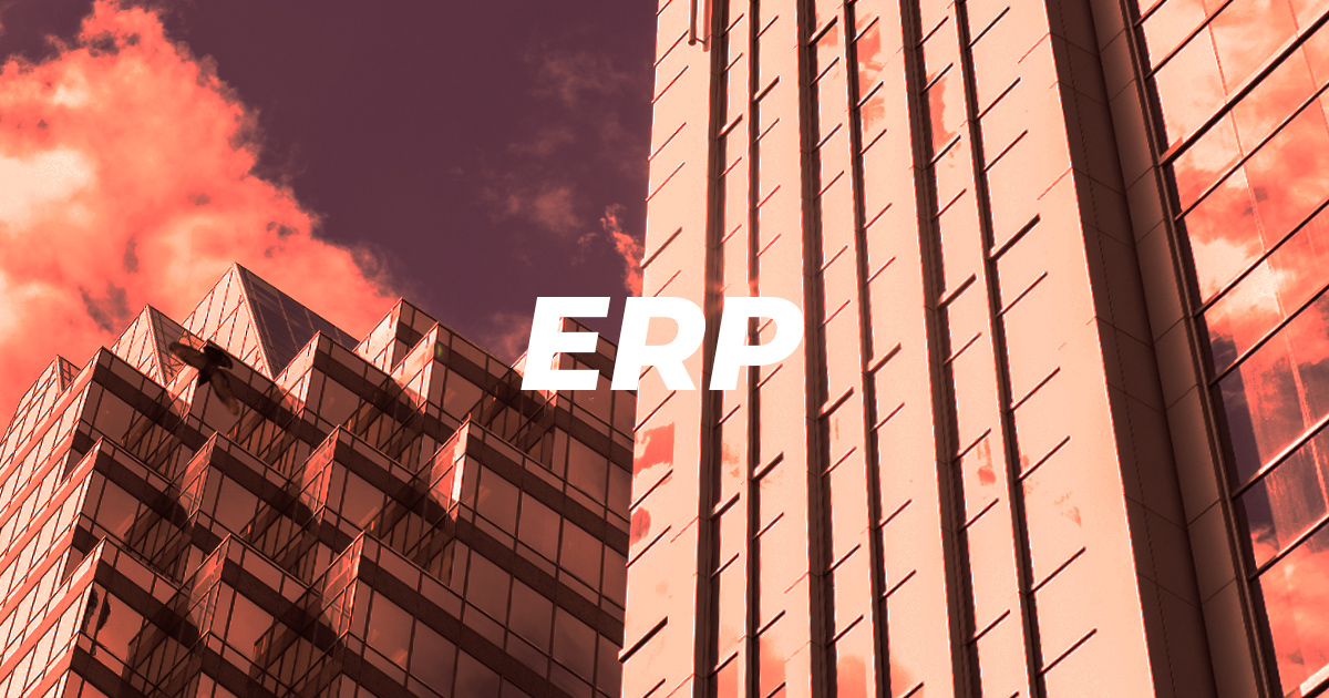 解密ERP：Investora详细指南