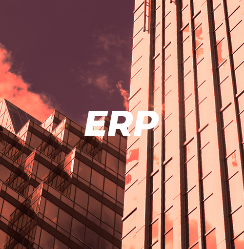 ERP Unraveled: An In-depth Guide by Investora